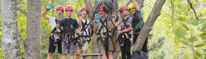 group of people standing on tree stand before ziplining