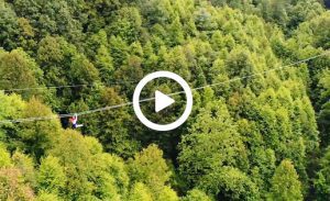 person riding zipline over forest