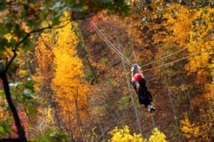 person riding zipline through forest canopy